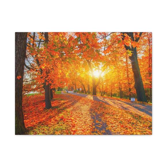 Autumn Forest Path Forest Floral Nature Photography Canvas Wall Art for Home Dec